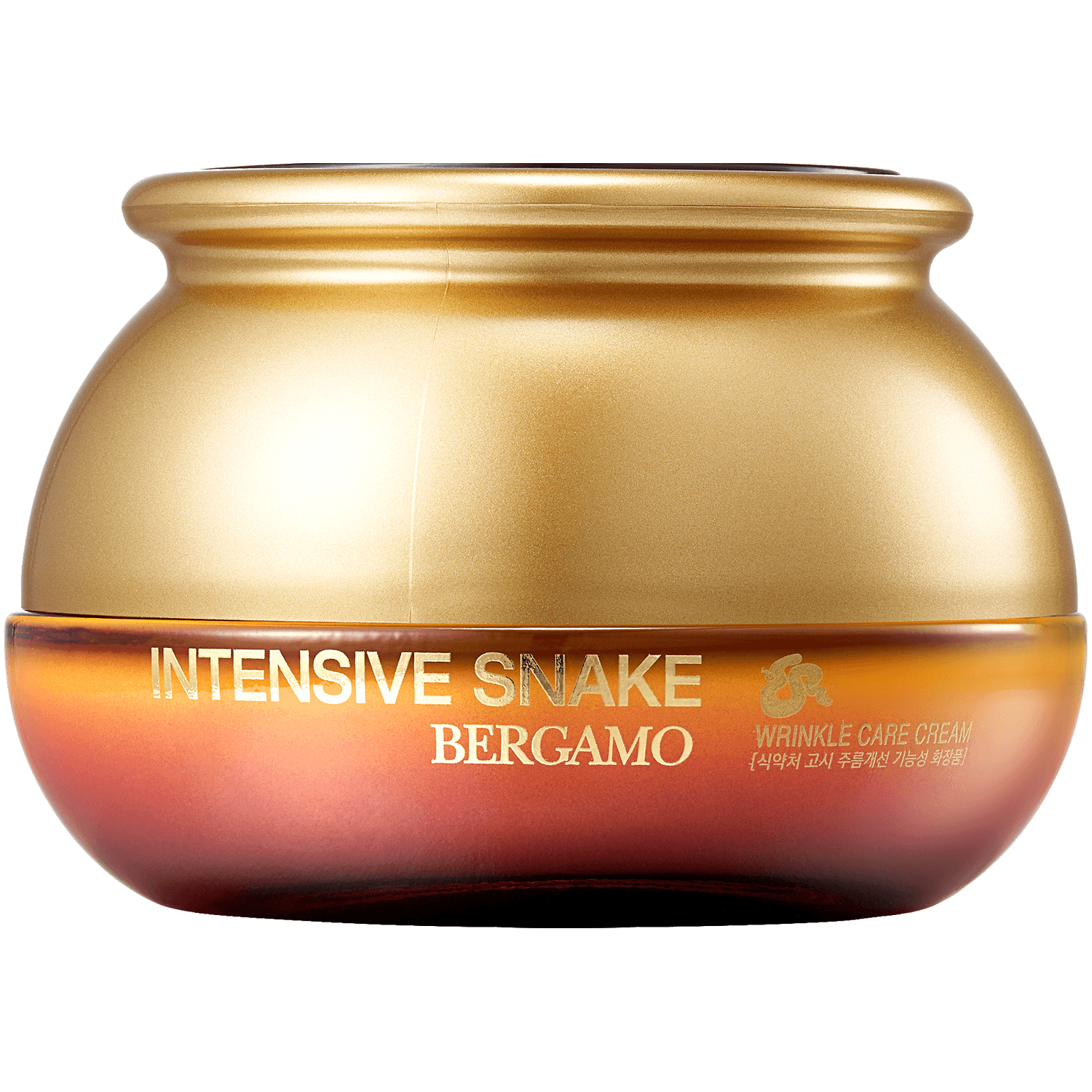 Bergamo Intensive Snake