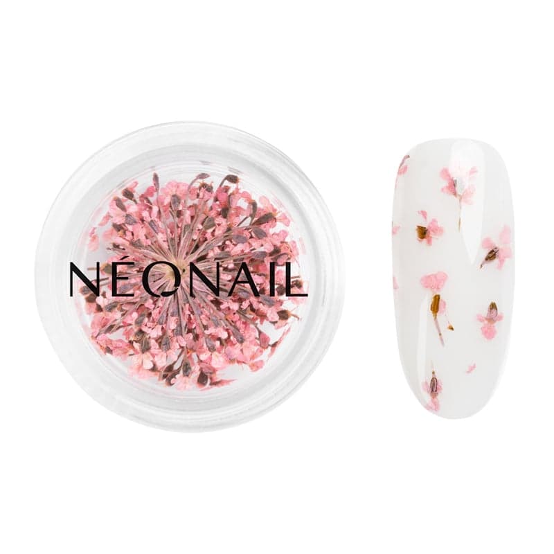 Neonail Pink