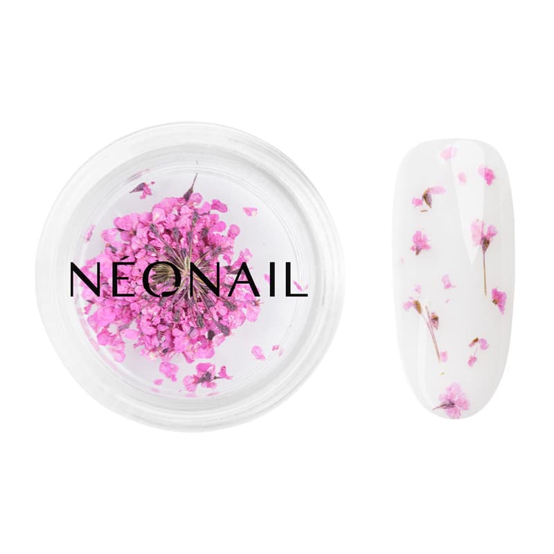 Neonail Purple